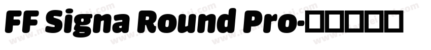 FF Signa Round Pro字体转换